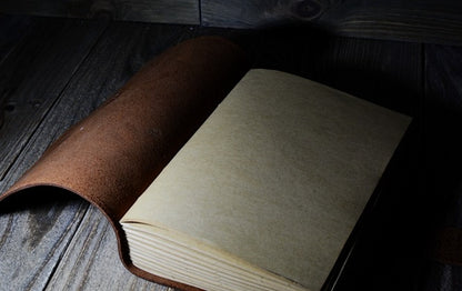 The Black Vail Ledger