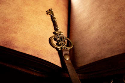 Tragic Rogues Diary