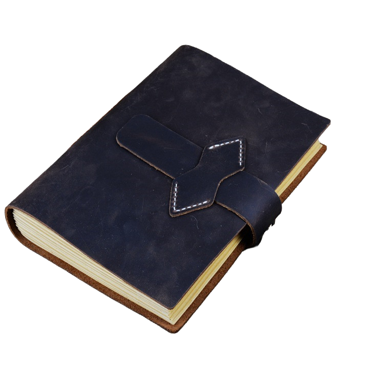 The Black Vail Ledger
