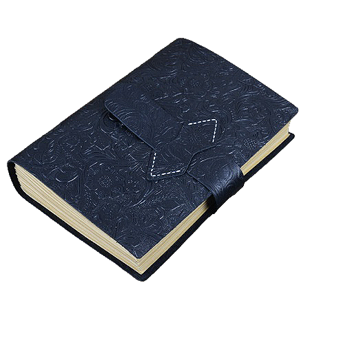 The Black Vail Ledger