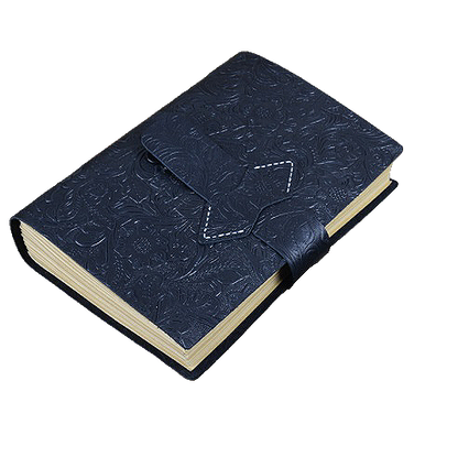 The Black Vail Ledger